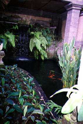 [Lotus Pond, Ibah Hotel, Ubud] 